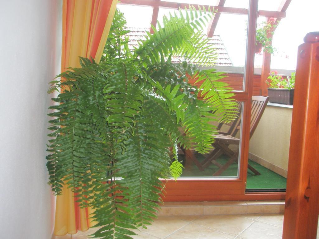 Villa Elena Сміжани Номер фото